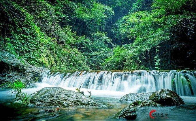 雷竞技比分