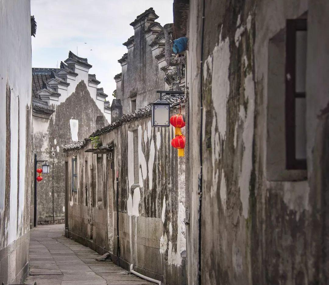 雷竞技比分